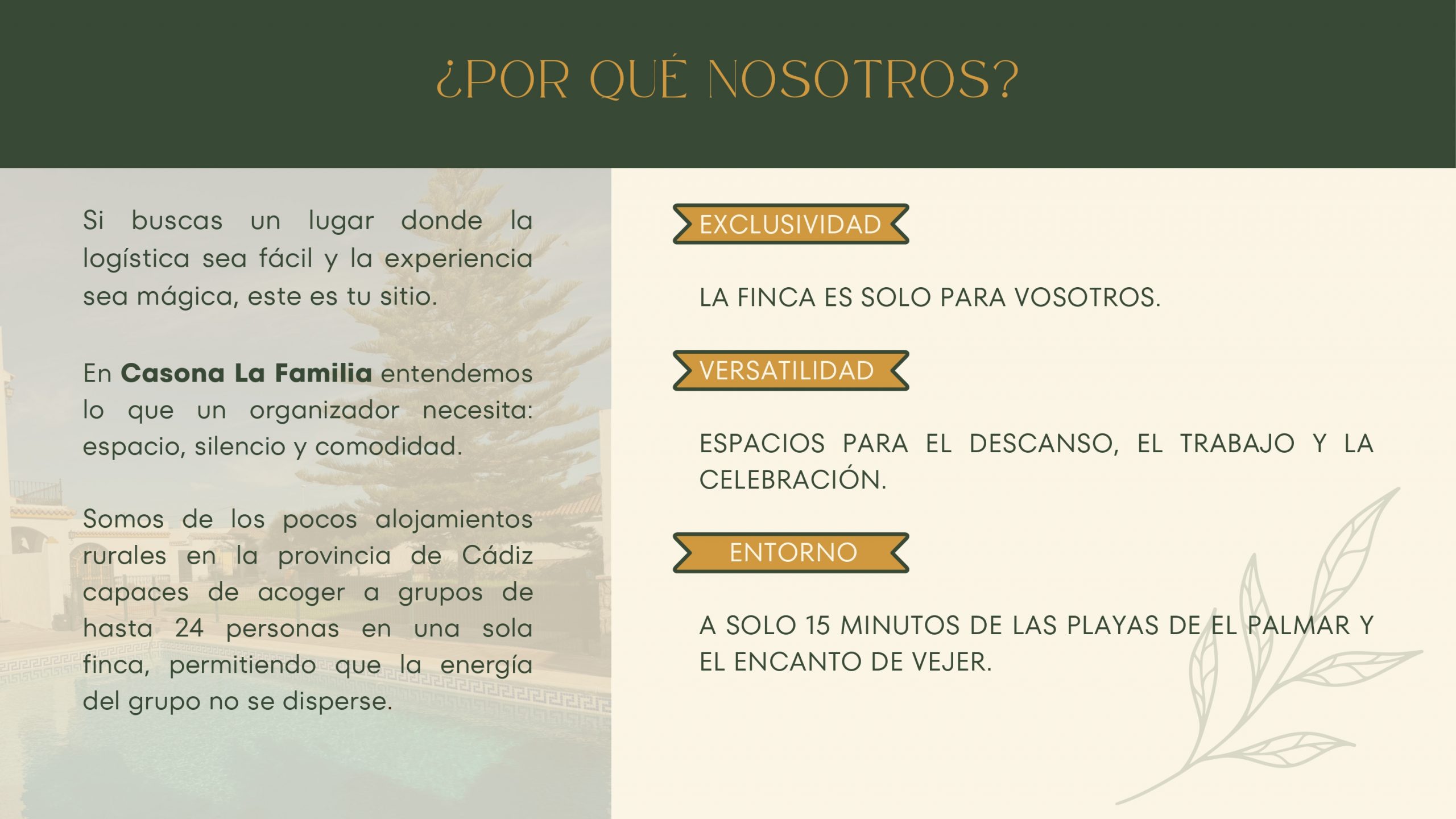 Retiros Vejer de la Frontera Cádiz Yoga Aeroyoga